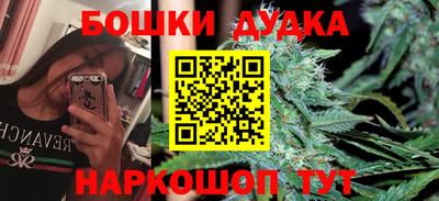 прущие грибы Владимир