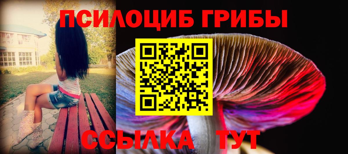 где можно купить наркотик  Вход с VPN  Артёмовский  Псилоцибиновые грибы Magic Shrooms 